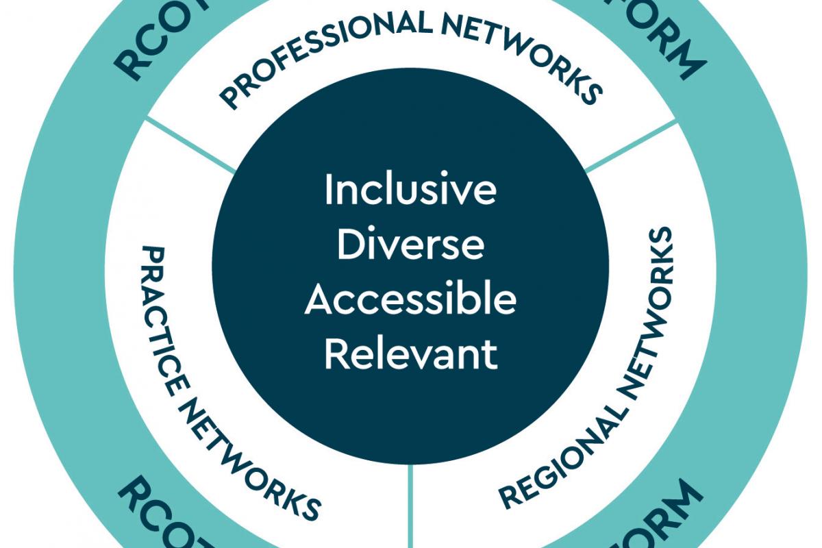 Visual representation of our networks